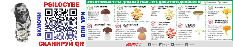 Купить где  Трубчевск  Псилоцибиновые грибы Magic Shrooms 