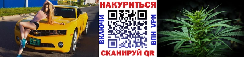 Купить закладки  Трубчевск  Бошки марихуана OG Kush 